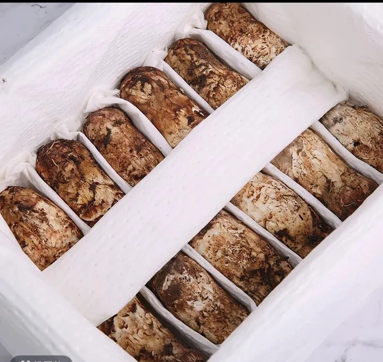 正宗云南香格里拉新鲜松茸松茸菌松茸菇菌菇顺丰冷链发货野生