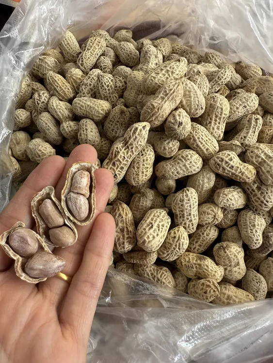 【回忆农特产】农家水煮花生咸香口味健康小零食配茶下酒