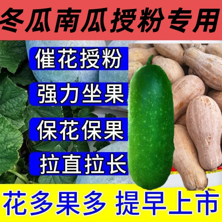 冬瓜南瓜专用座果灵无需沾花强力座果无畸形瓜起果膨果快