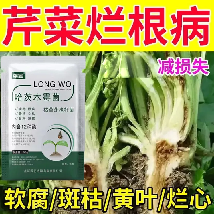 芹菜烂根病专用肥料芹菜黄叶软腐斑枯烂心卷叶焦边黑胫专用水溶肥