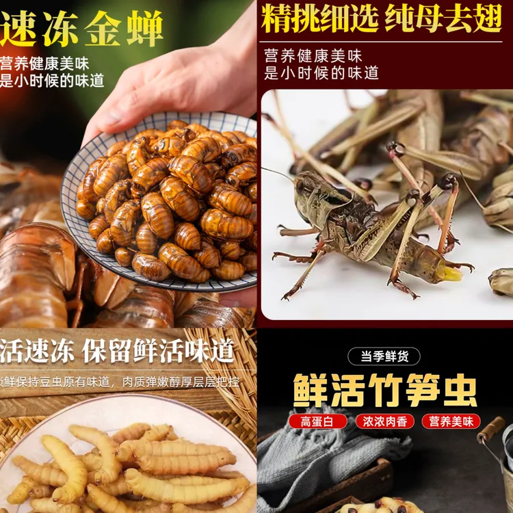 金蝉蚂蚱蜂蛹竹笋虫组合装