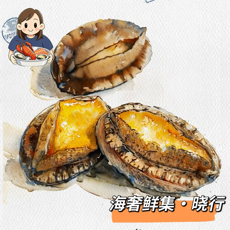 【冷水鲍鱼】鲍鱼深海之冠，一口鲍鱼一口金，4头 6头    海鲜水产