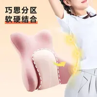 【666】925/50-147  上班久坐腰部支撑靠腰垫