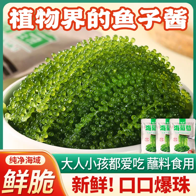 鸿澍 新鲜海葡萄即食海带海澡长寿菜寿司绿色鱼子酱100克