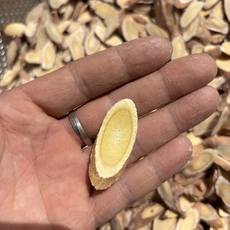 甘肃精选黄芪主干切片，正宗无硫泡茶煮汤泡酒