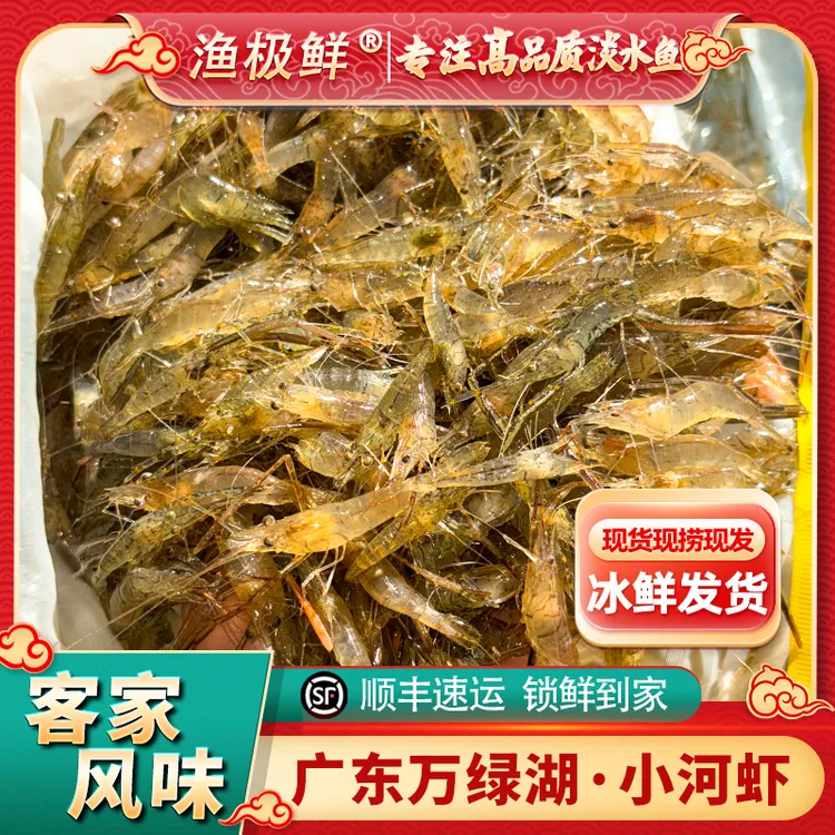 【渔极鲜】万绿湖小河虾-活虾速冻发货新鲜现捞现冻顺丰发全国