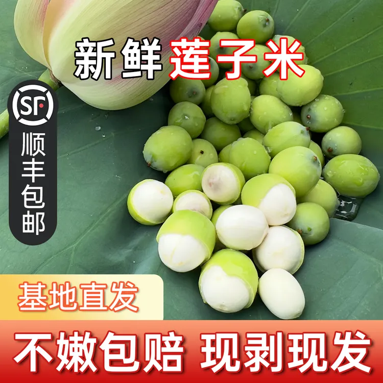 湖南新鲜现剥嫩莲子可生吃甜嫩应季水果