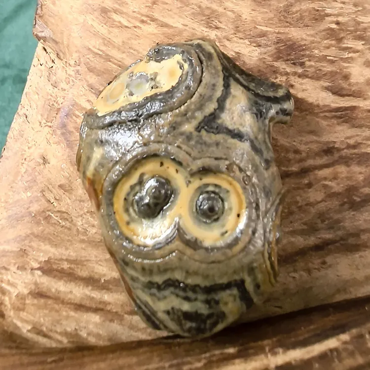 蒙玛天目体验款 天眼石眼睛石奇石钱币石戈壁石原石皮壳包浆独品