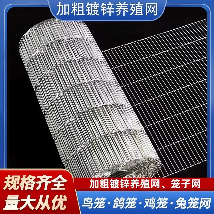 镀锌铁丝电焊网建筑网格养殖隔离网加粗狗笼子钢丝网围栏厂家直销