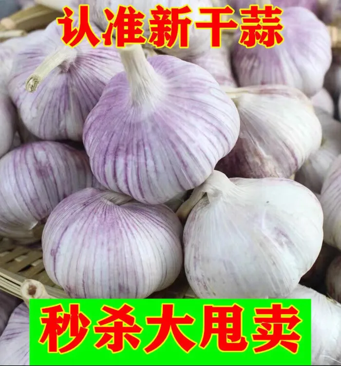【2025年新干蒜】大蒜紫蒜头紫皮白皮新干蒜3/5斤装农家自耐储存