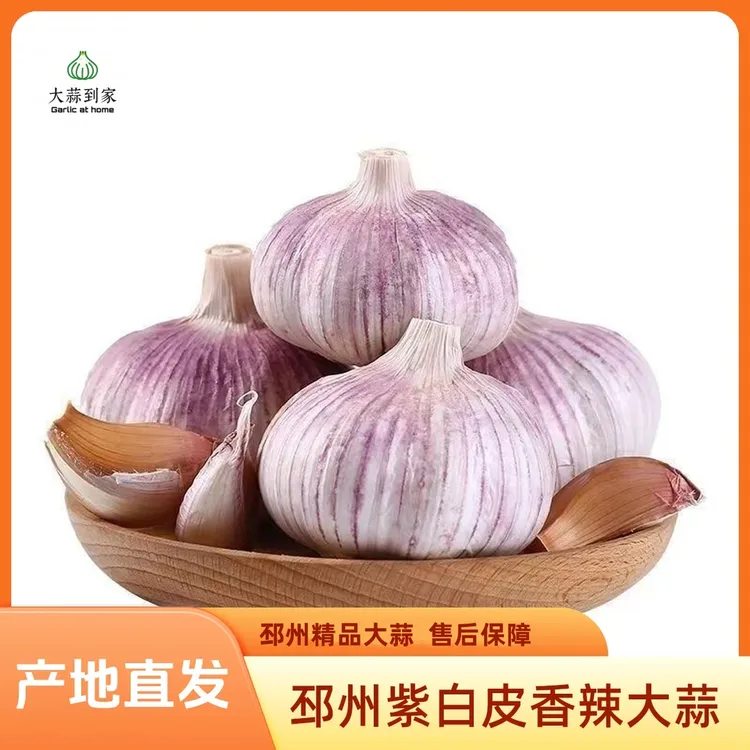 邳州农家精品大蒜2025邳州紫白皮香辣新干大蒜香蒜香辣新鲜干大蒜