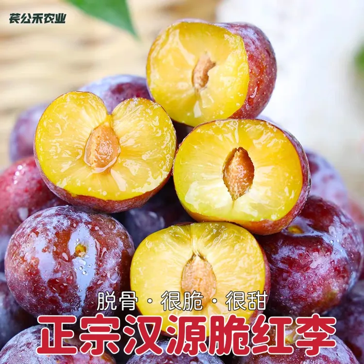 苌公禾【郡家】正宗四川汉源脆红李新鲜当季高山脱骨李脆甜现摘现发