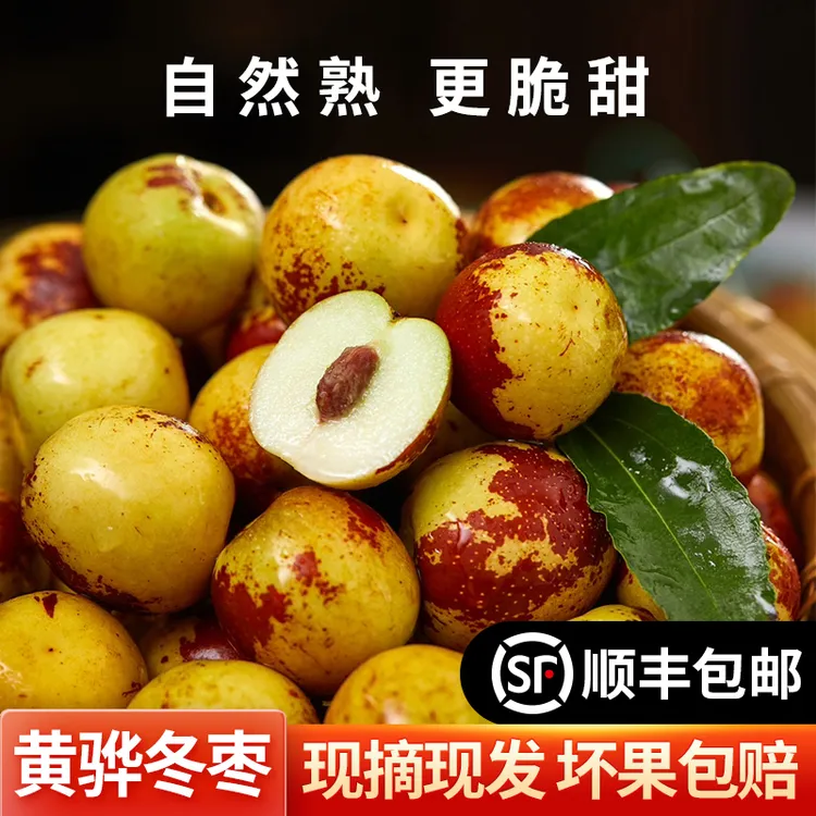 黄骅冬枣【顺丰包邮】现摘新鲜脆甜多汁应季水果产地直发