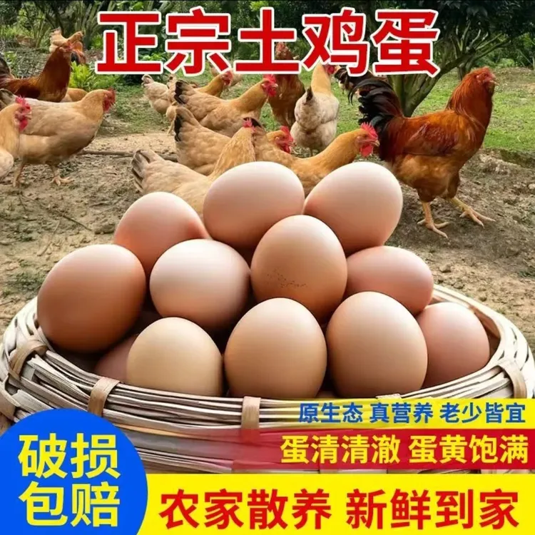 【到手50枚】农家正宗土鸡蛋 50枚农村土鸡蛋现捡现发TZ-5