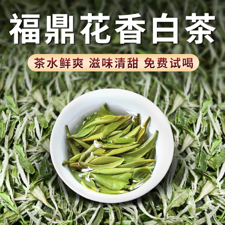 花香特级白牡丹茶叶2025福建福鼎头采新茶明前高山嫩芽春白茶罐装