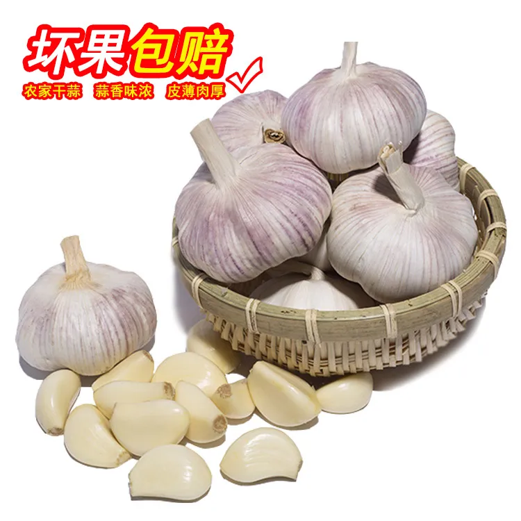 【农家新干蒜】5斤大蒜杞县特产紫白皮大蒜头新鲜1斤3斤9斤蔬菜