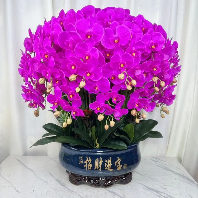 蝴蝶兰仿真花客厅高档花过胶手感保湿花室内桌面摆假花蝴蝶兰盆栽