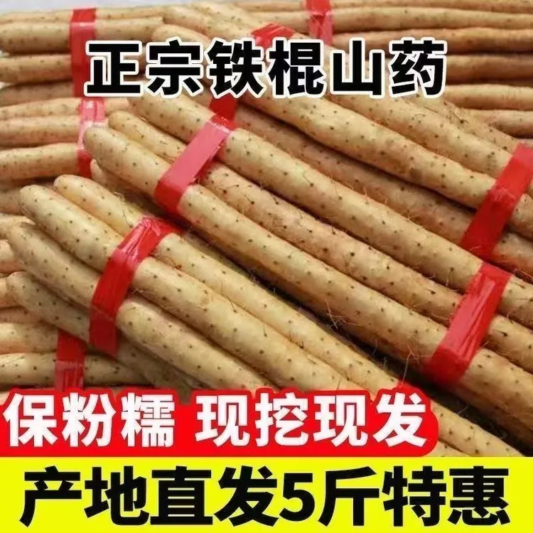 正宗垆土铁棍山药当季山药粉糯甘香面新鲜现挖原产地带土发货5斤
