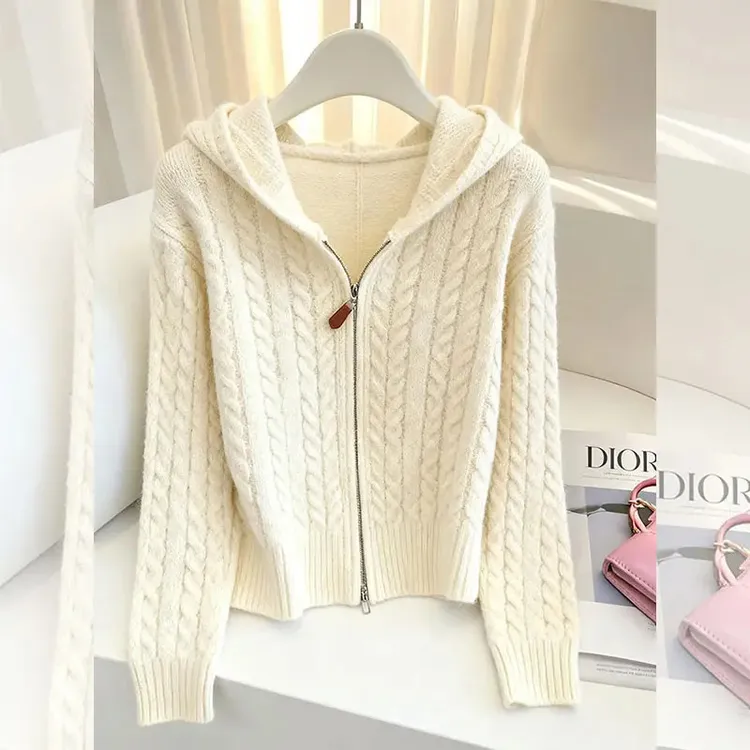 秋冬新款百搭拉链长袖针织开衫女2025穿搭韩版时尚连帽上衣外套女