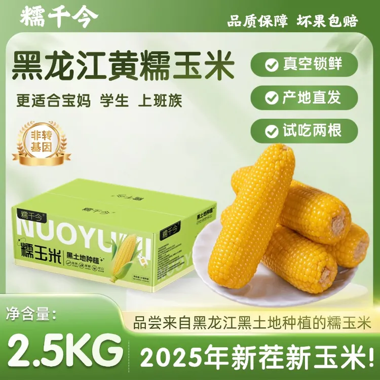 【25年新茬】富含叶酸黄糯玉米糯千今黑土地粗粮代餐优质碳水2.5KG