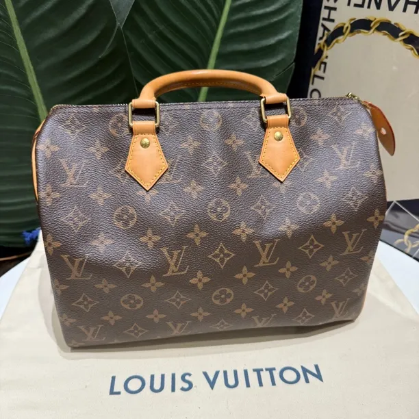 95新 LouisVuitton/路易威登  Speedy30手提款 老花波士顿全原