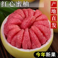福建平和红心蜜柚新鲜水果柚子老树头茬鲜果皮薄鲜嫩多汁当季