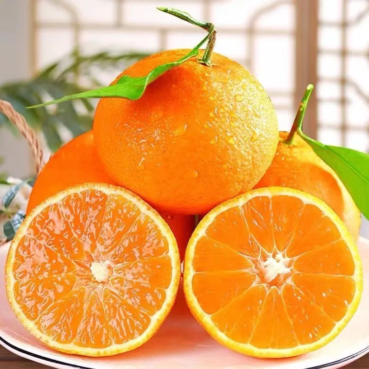 【黄老头专属】四川眉山蒲江爱媛果冻橙4.5斤装 现摘现发 坏果包赔