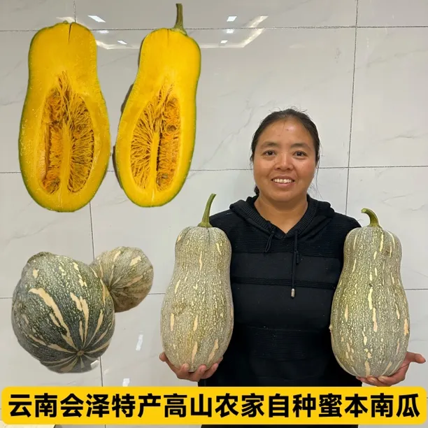 云南会泽特产高山农家自种蜜本南瓜