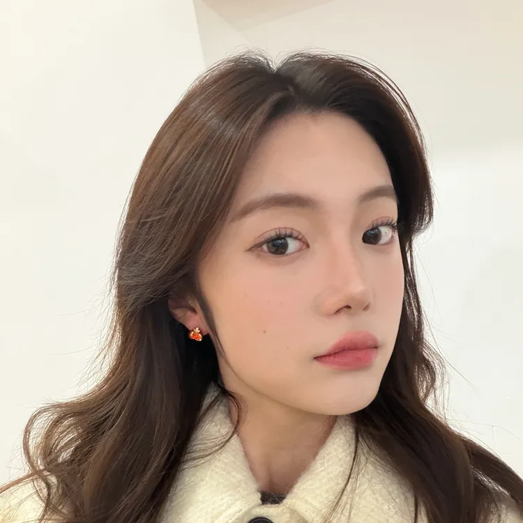 铜合金耳饰 【红榴韵】新年款石榴耳钉女轻奢高级感小众设计耳饰007