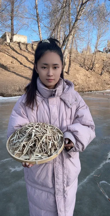 当归尾切片（股片）
