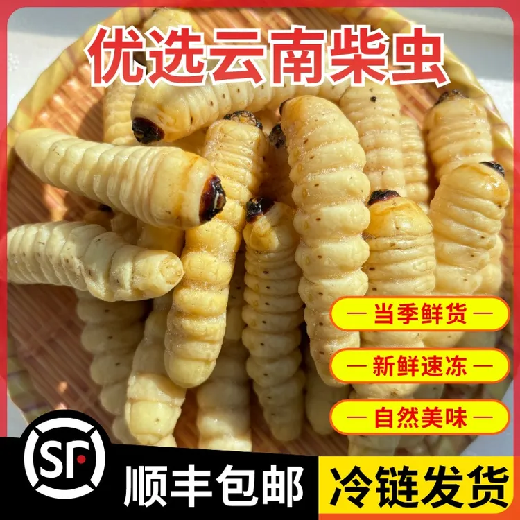 云南特产柴虫木虫新鲜速冻木花虫油炸下酒菜食用昆虫农产品