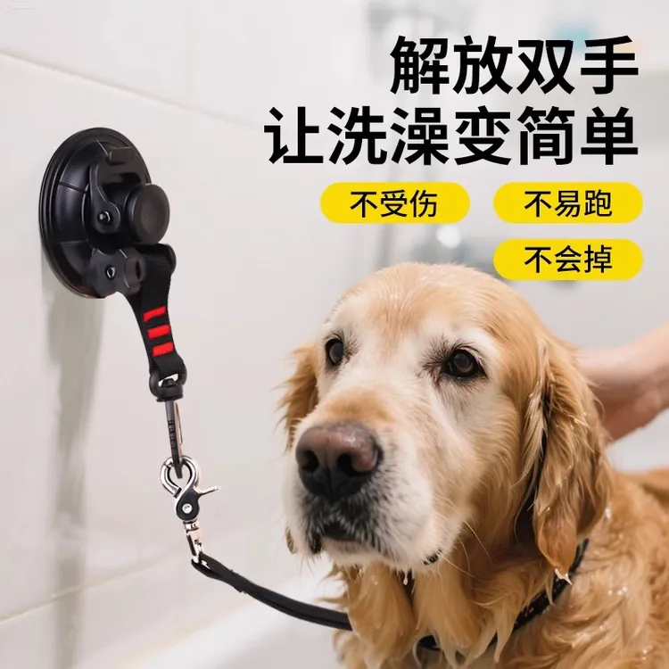 宠物洗澡固定器美容桌吊绳猫咪洗澡神器牵引绳吸盘剃毛拴狗绑狗绳