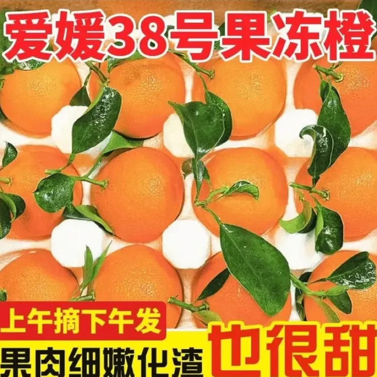 正宗四川爱媛38号果冻橙新鲜现摘当季水果爆甜多汁