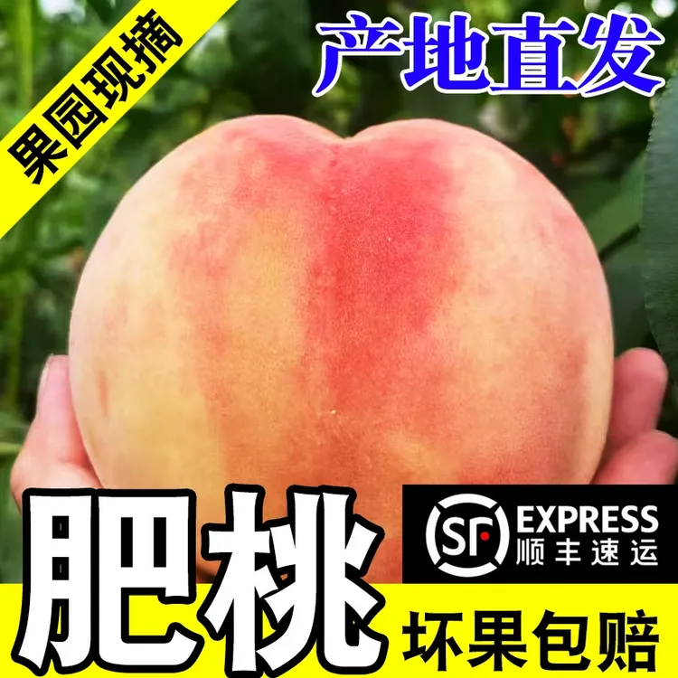 【顺丰包邮】山东正宗肥城桃水蜜桃超大果脆甜硬桃现摘现发新鲜多汁