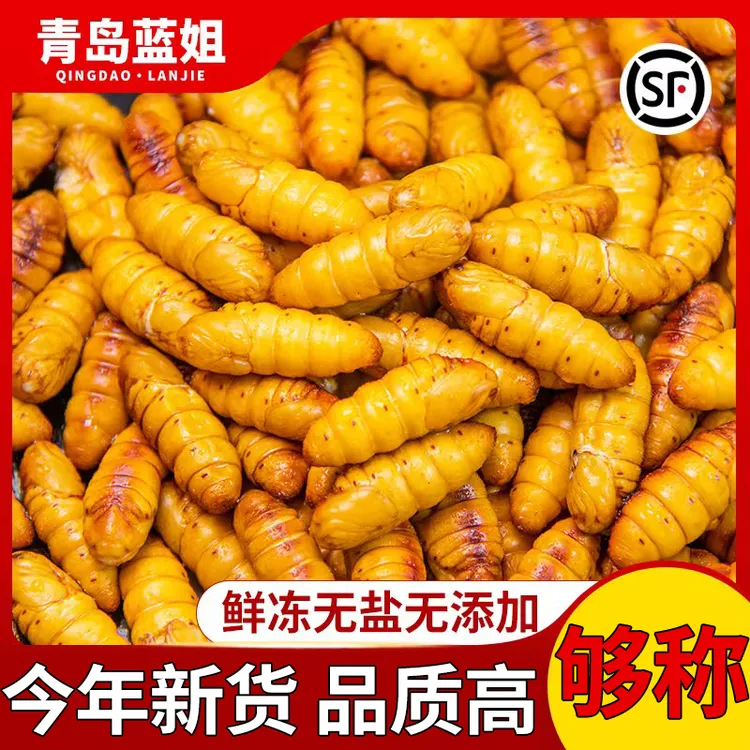 新鲜金丝小蚕蛹鲜活冷冻商用烧烤钓鱼饲料桑蚕蛹宠物零食顺丰