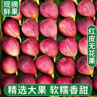 【现摘现发】四川波姬红新鲜无花果红皮新鲜水果孕妇水果非无花果干