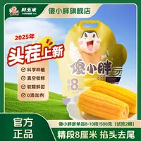 【黄金8厘米】傻小胖香糯玉米棒玉米段真空锁鲜内蒙古玉米可试吃
