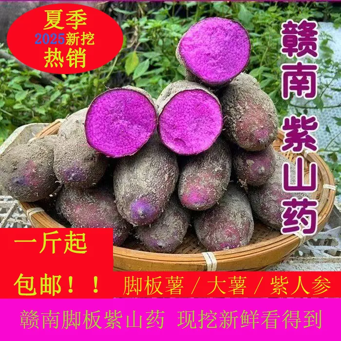 正宗赣南紫山药农家特产新鲜脚板薯现挖现发