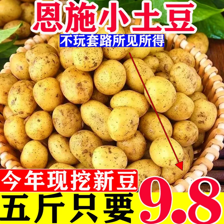 农家新鲜恩施小土豆黄皮黄心奶香应季迷你蔬菜洋芋整箱软糯3/5/9