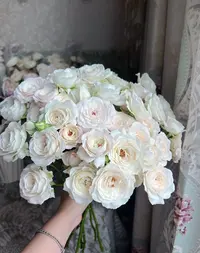 【多头-白仙子之吻 10支】鲜花任意满2单发冷链或空运 云南鲜花