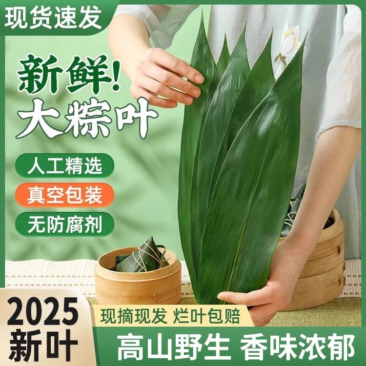 粽子叶免邮粽叶新鲜大号箬叶包粽子的端午干叶子真空商用DIY模具