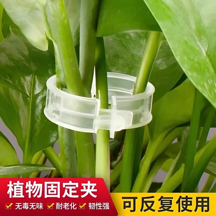 绿植果树植物固定夹卡扣藤蔓固定器秧苗爬藤支撑杆果蔬秧苗吊秧夹