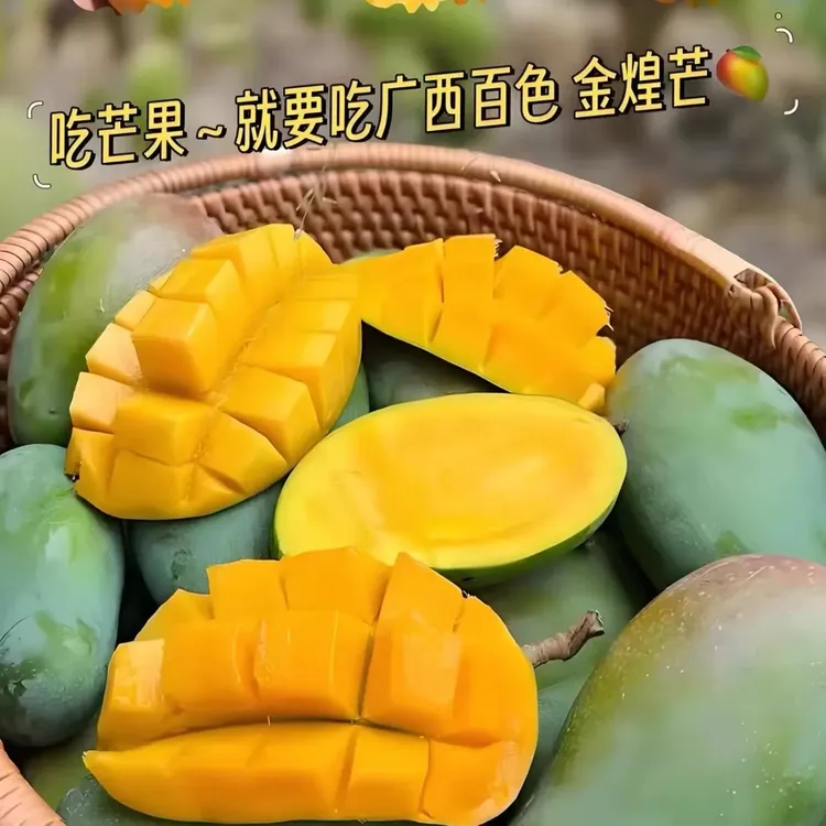 广西百色芒果  小金煌芒  金黄饱满  细腻又多汁  核薄肉厚  