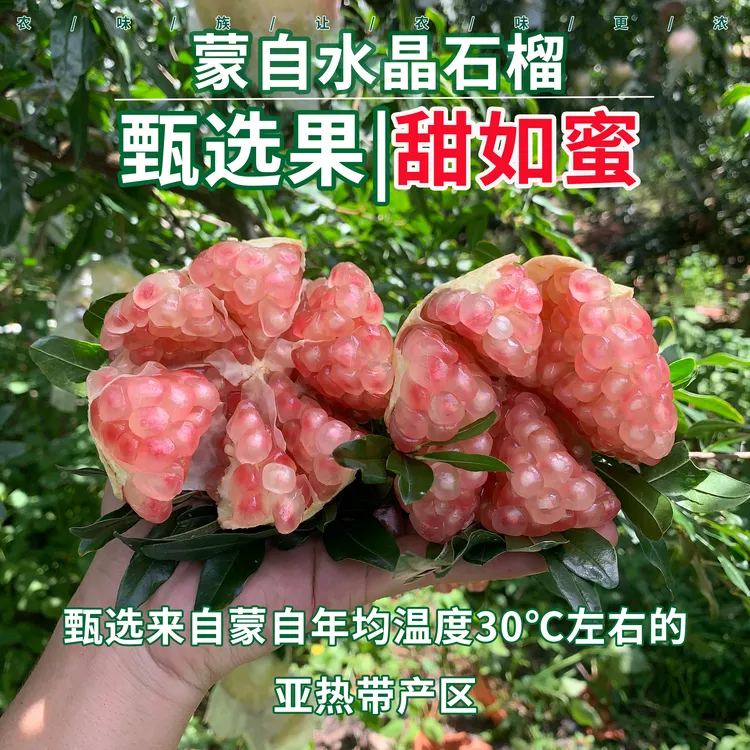 农味族云南蒙自水晶石榴蒙自石榴蒙自硬籽石榴皮薄汁多