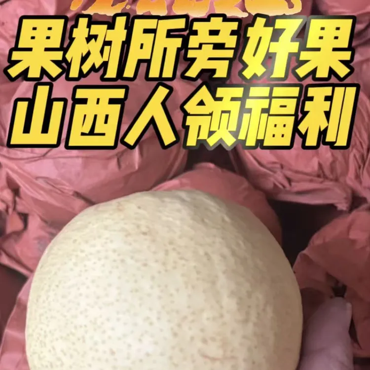 ［京东］山西太谷白城酥梨脆甜多汁(空格正常论斤不论个）