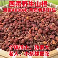 【山楂干】精选西藏山楂干1斤/2斤