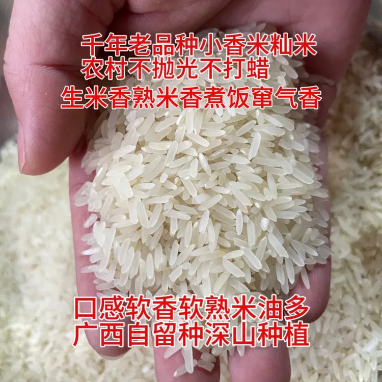 2025年新米广西老品种农家小香米籼米米油多不抛光胚芽米2斤糙米