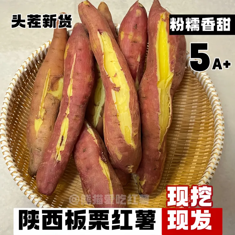 新鲜现挖沙地正宗板栗红薯粉糯甘甜无丝无筋