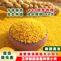 【新疆现磨新米】沙漠黄金小米粘糯胚芽营养丰富产地直发2/5斤g