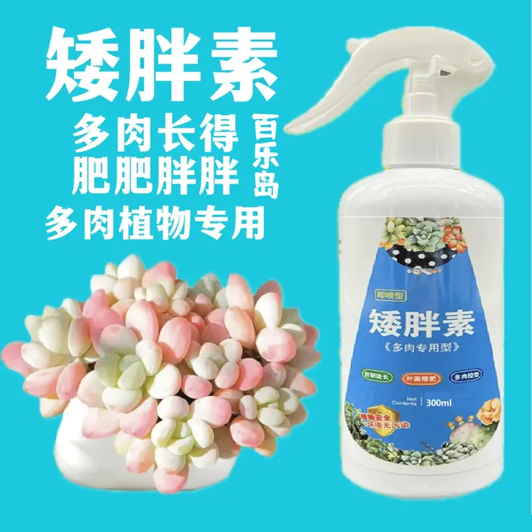 【多肉专用】矮胖素 适用多肉专用增色增肥促生长激活植物营养液